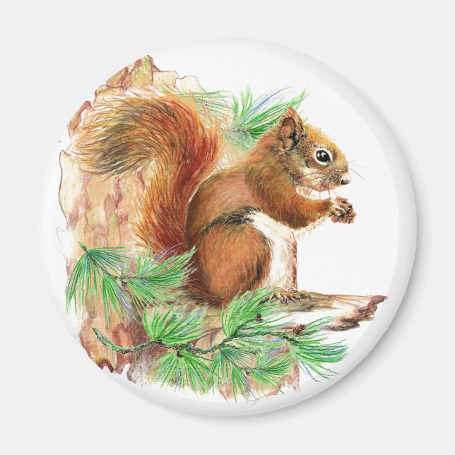 Squirrel Nature Fridge Magnet (Front)