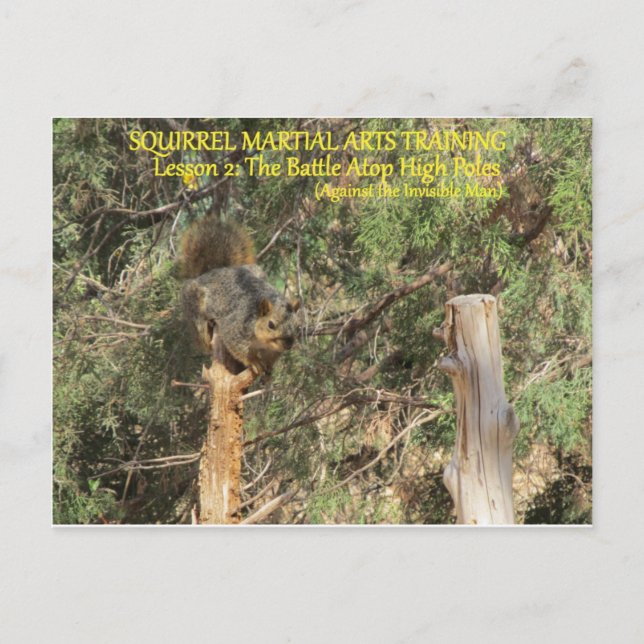 Squirrel Nnja Training Tips Postcard (Front)