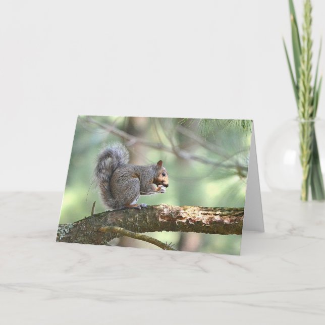 Squirrel Note Card (Front)