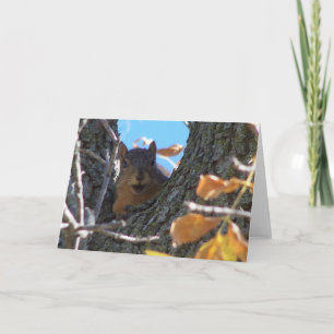 Squirrel Notecard