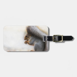Squirrel on a bench and some nuts luggage tag
