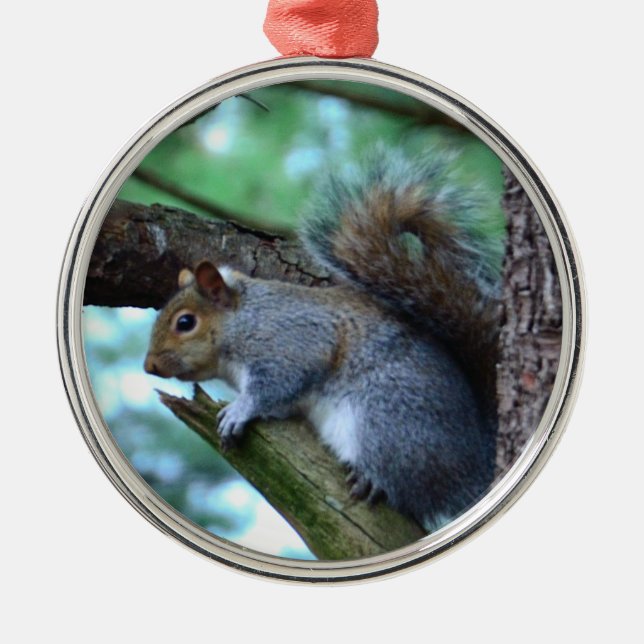 Squirrel on a branch metal tree decoration (Front)