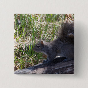 Squirrel on a Log 15 Cm Square Badge
