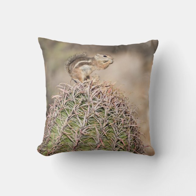 Squirrel on Barrel Cactus Cushion (Front)