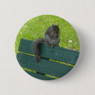 Squirrel on Bench 6 Cm Round Badge