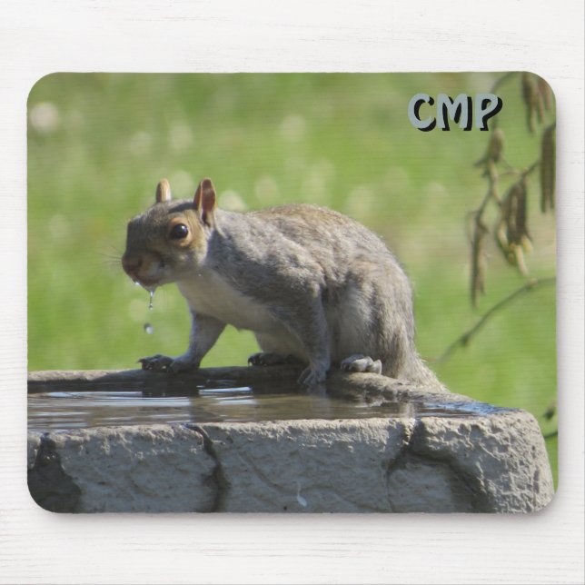 Squirrel On Bird Bath  with Your Initials  Mouse Mat (Front)