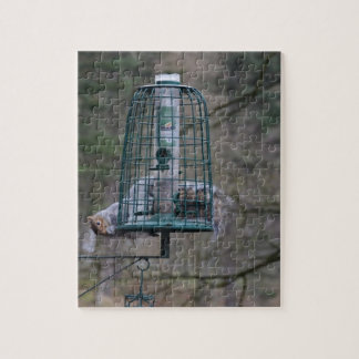 Squirrel on bird feeder jigsaw puzzle