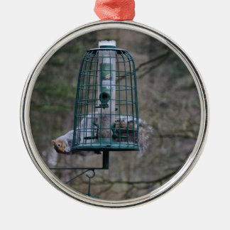 Squirrel on bird feeder metal tree decoration