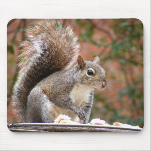 Squirrel on Feeder Mouse Mat