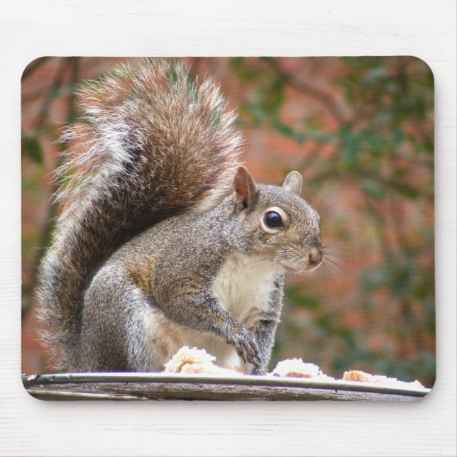 Squirrel on Feeder Mouse Mat (Front)