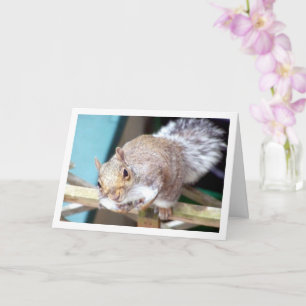 Squirrel on Fence Card
