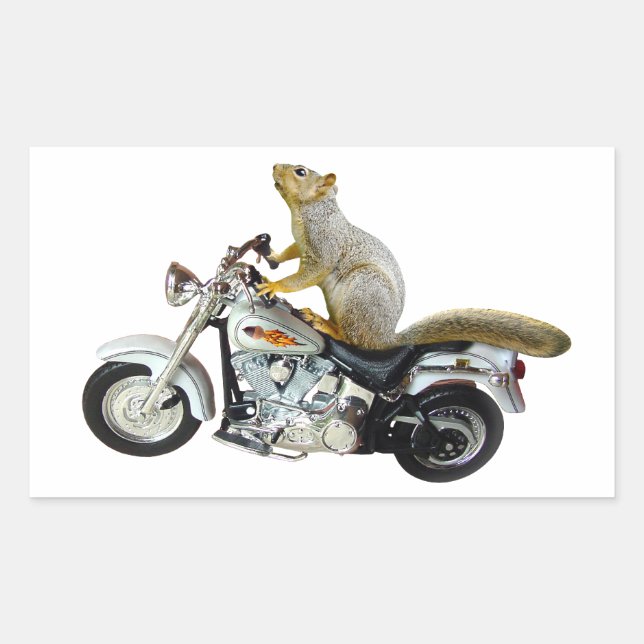 Squirrel on Motorcycle Rectangular Sticker (Front)