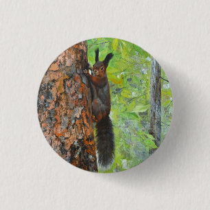 Squirrel on Pine Tree – Realistic Oil Painting 3 Cm Round Badge
