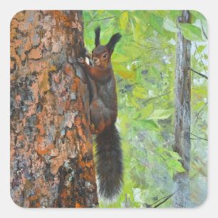 Squirrel on Pine Tree – Realistic Oil Painting Square Sticker