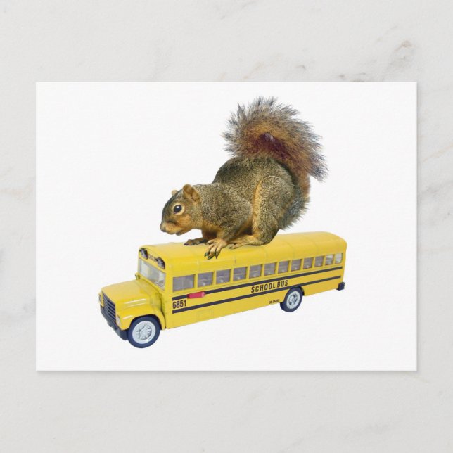 Squirrel on School Bus Postcard (Front)