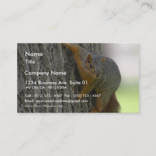 Squirrel On Tree Business Card