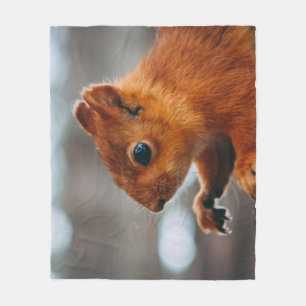 SQUIRREL ON TREE TRUNK FLEECE BLANKET