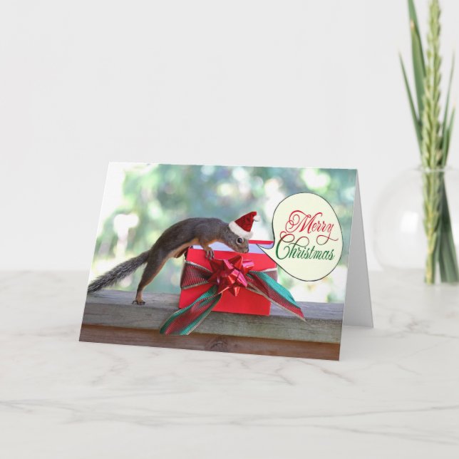 Squirrel Opening Christmas Present Holiday Card (Front)