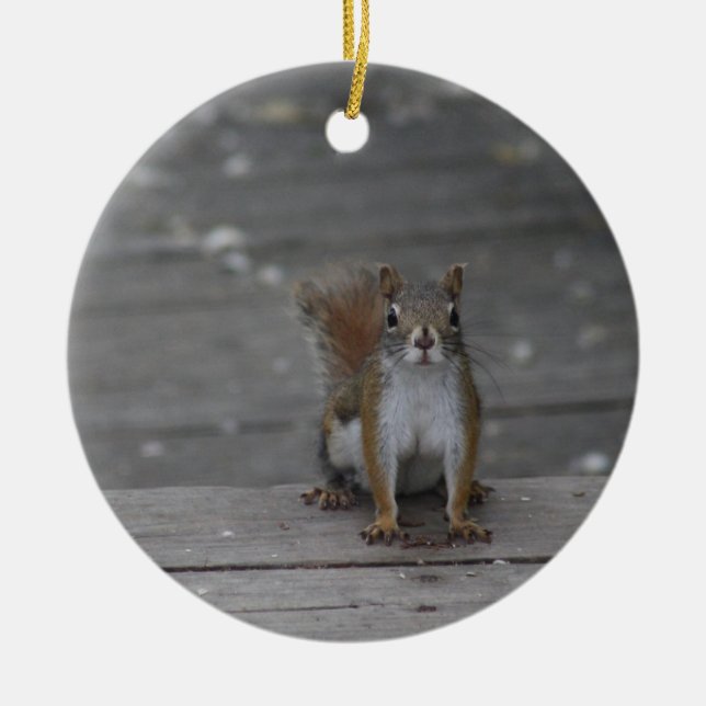 Squirrel ornament (Front)