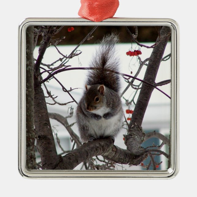 Squirrel Ornament (Front)