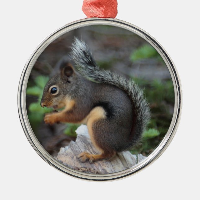 Squirrel Ornament (Front)