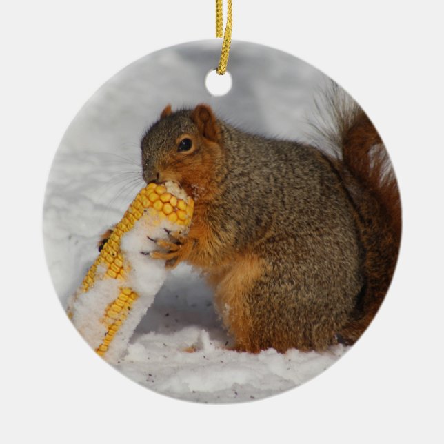 Squirrel ornament (Front)