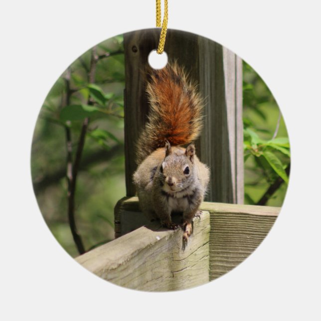 Squirrel ornament (Front)