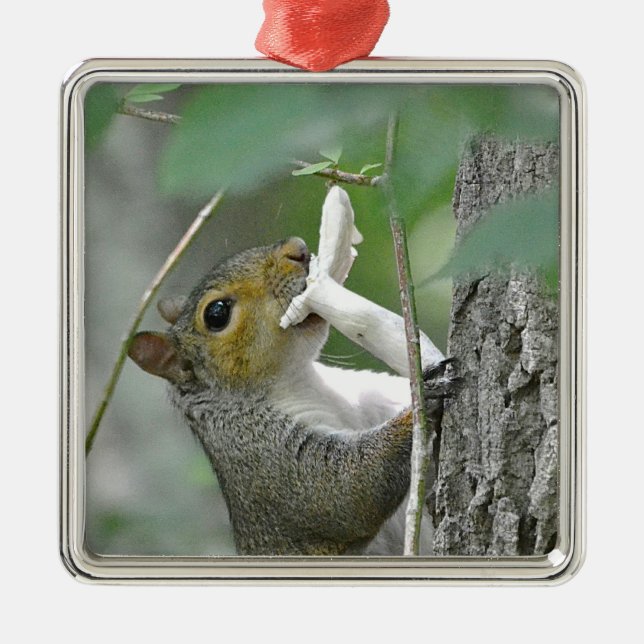 Squirrel Ornament (Front)