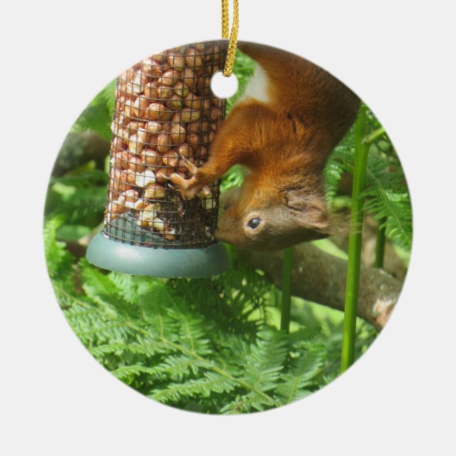 Squirrel Ornament, Not Just For Christmas! Ceramic Tree Decoration (Front)