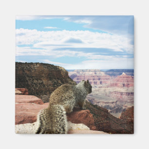 Squirrel Overlooking Grand Canyon, Arizona Magnet