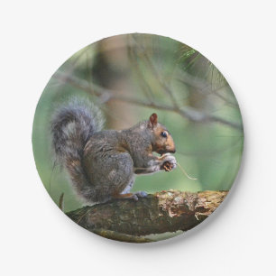 Squirrel Paper Plate