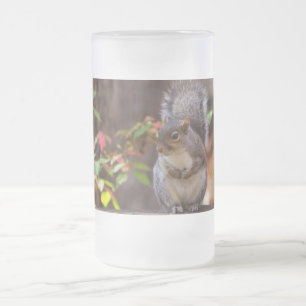 Squirrel Patiently Begs Frosted Glass Beer Mug