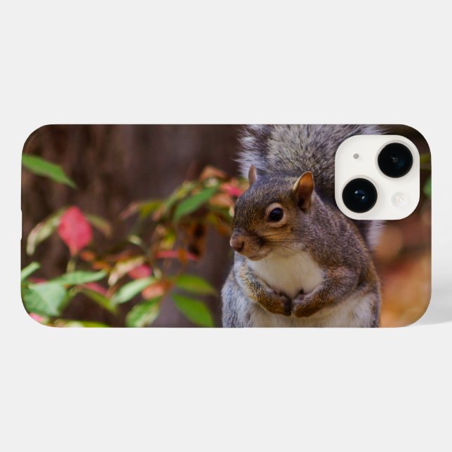 Squirrel Patiently Begs iPhone Case (Back (Horizontal))