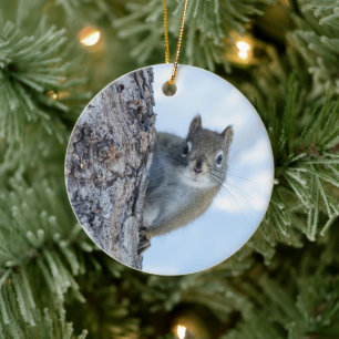 Squirrel, Peeking Around a Tree Trunk Ceramic Tree Decoration