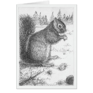 Squirrel Pen & Ink Illustration
