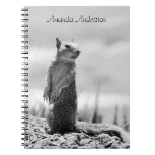 Squirrel - Personalizable Notebook