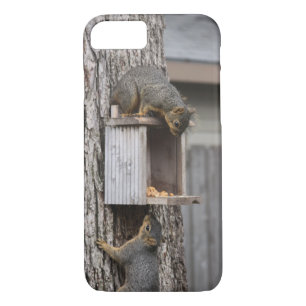 Squirrel Phone Case
