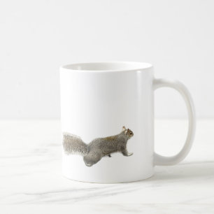 Squirrel Photo Mug