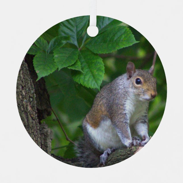 Squirrel Photo Ornament  (Front)