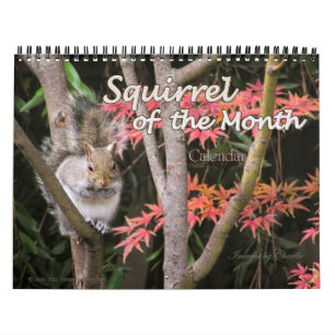 Squirrel Photo Wall Calendar
