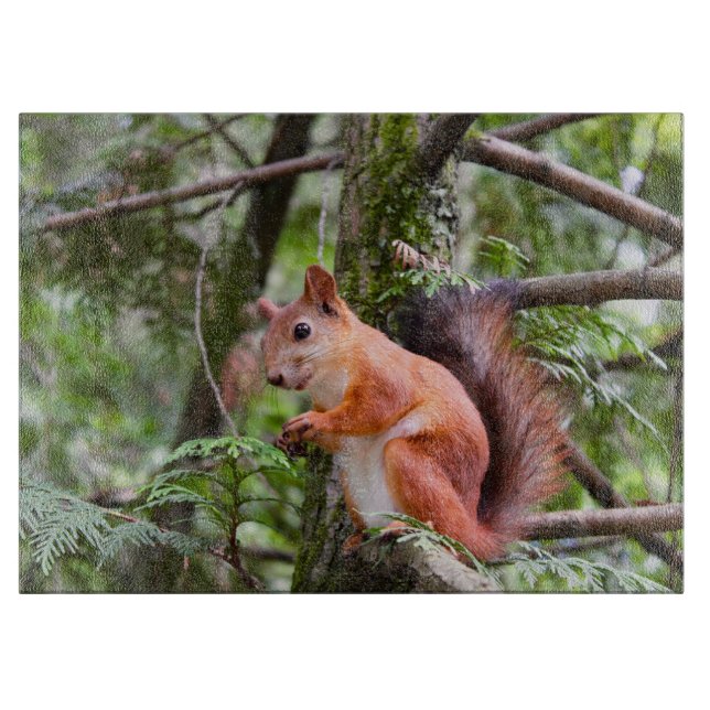 Squirrel Photograph Cutting Board (Front)