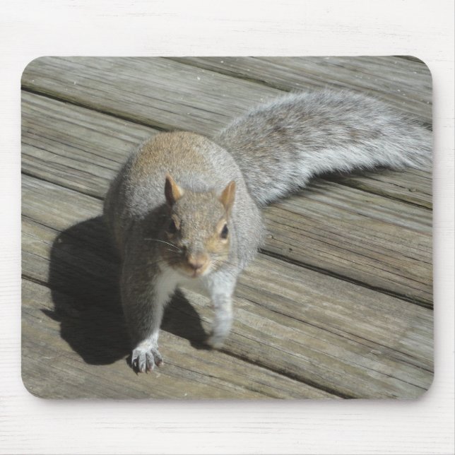 Squirrel Photograph Mouse Mat (Front)
