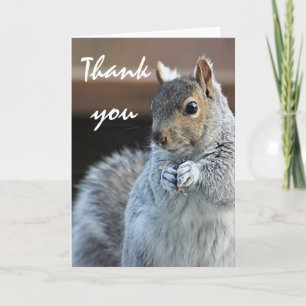 Squirrel photography thank you card