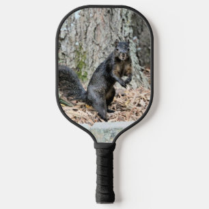 Squirrel pickleball paddle
