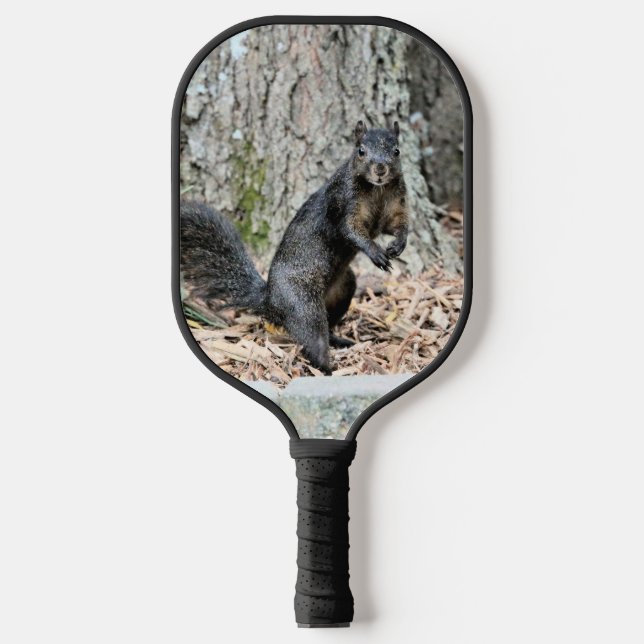 Squirrel  pickleball paddle (Front)