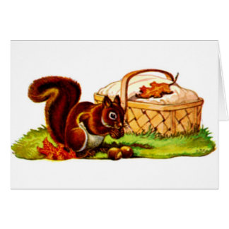 Squirrel Picnic
