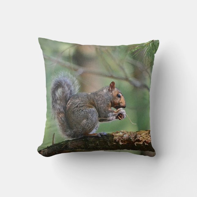 Squirrel Pillow (Front)