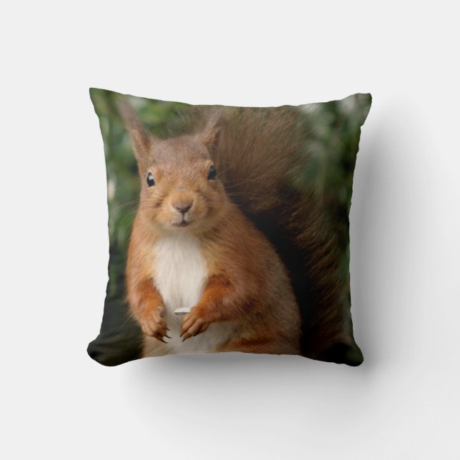 Squirrel Pillow/Cushion Cushion (Front)