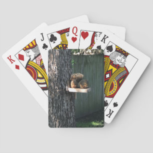 Squirrel Playing Cards