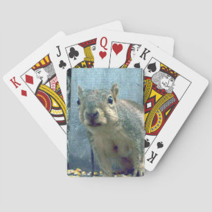 Squirrel Playing Cards
